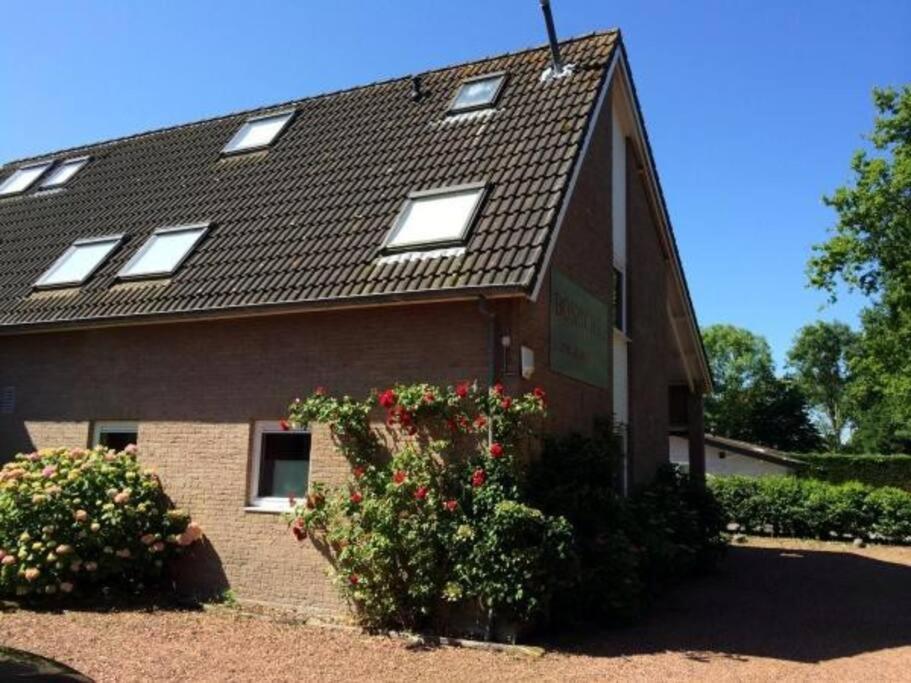Boszicht 3 Appartement In Oostkapelle Extérieur photo